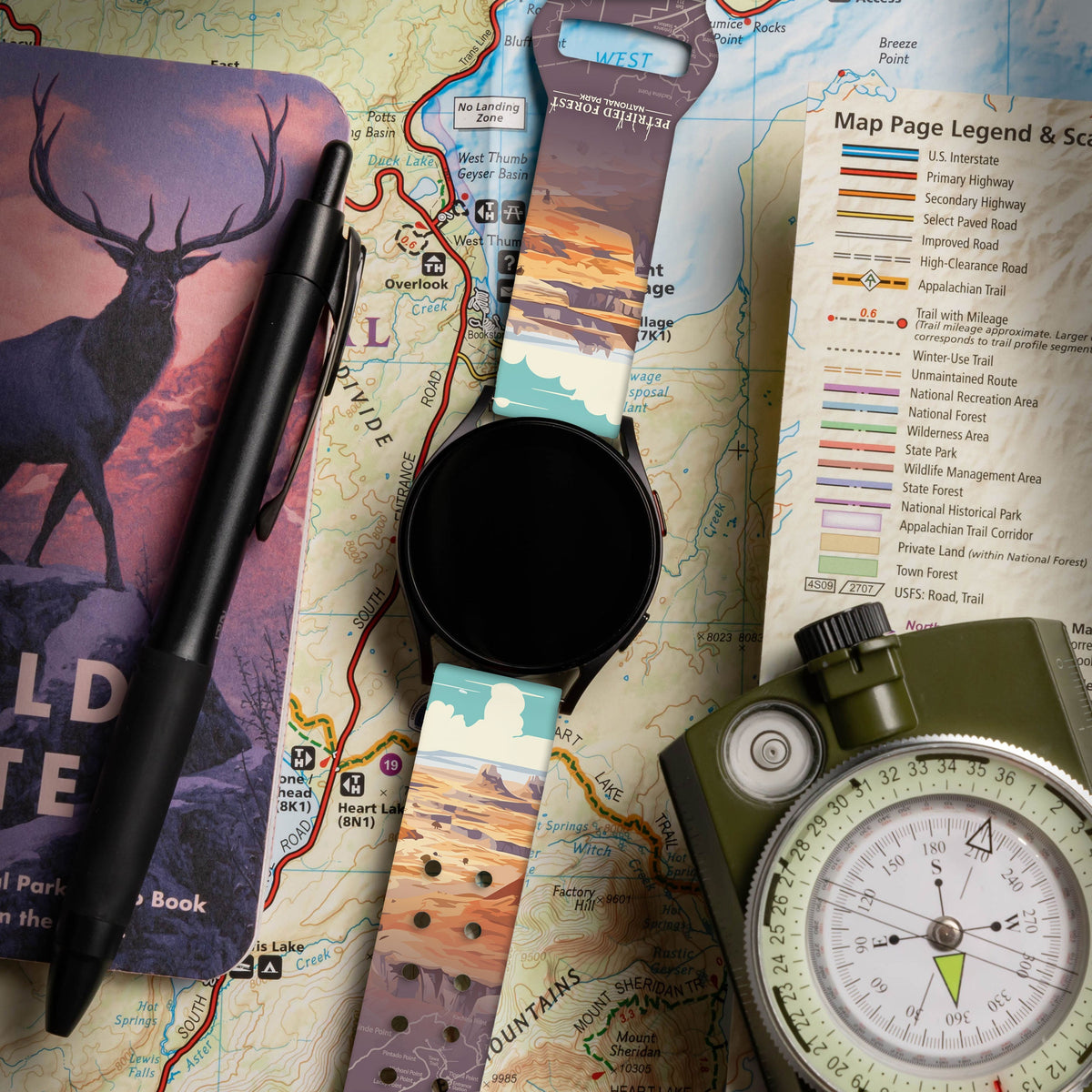 National Parks Petrified Forest HD  Watchband for Samsung, Garmin, Fossil, and More